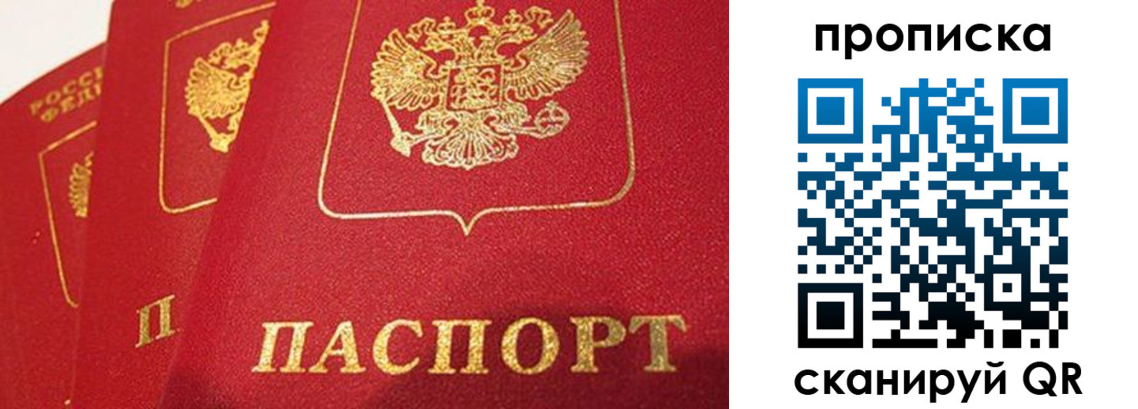 прописка паспорт в Советске